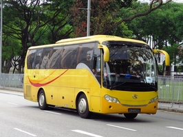 Голямо разнообразие автобусни превози 32