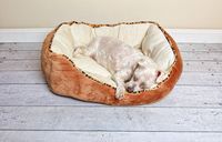 Качествени легла за кучета 27