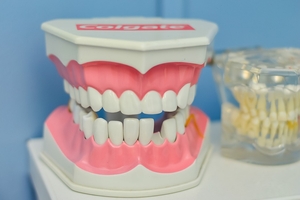 Best offer for Dental Clinic Sofia 16