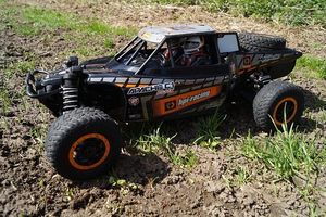 Dune Buggy - 6964 varieties