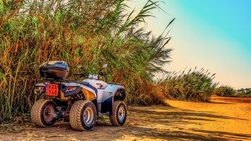 Dune Buggy - 61879 options