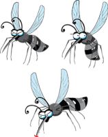 Insektenschutzrollo - 63526 Nachrichten
