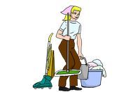 Regular Domestic Cleaning - 47890 customers