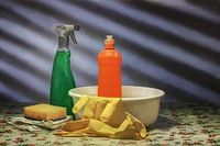 Regular Domestic Cleaning - 86350 varieties